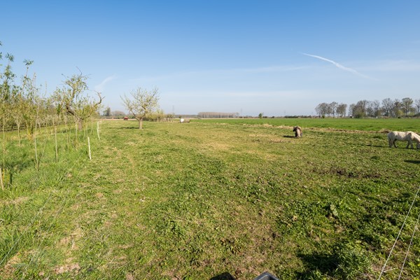 Medium property photo - Gerestraat 6A, 4063 CR Heesselt